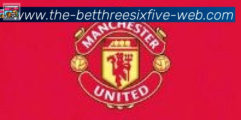 bet365在线体育合作伙伴